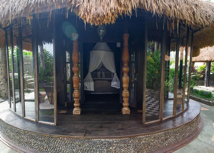 Authentic Beachfront Owl
