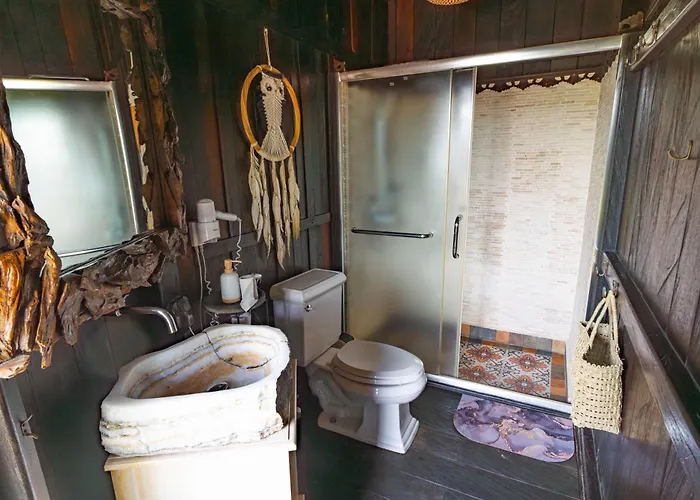 Authentic Beachfront Owl